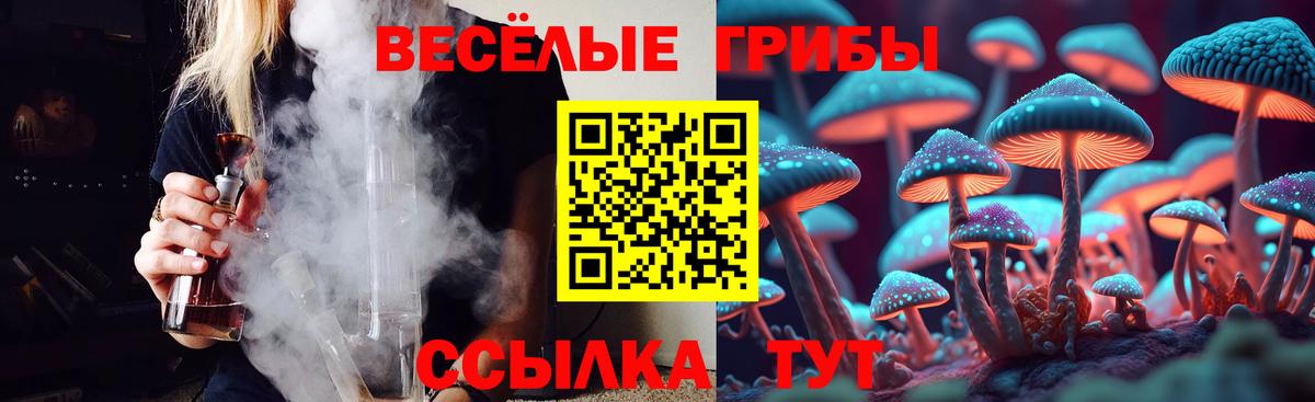 Псилоцибиновые грибы Psilocybine cubensis Первоуральск